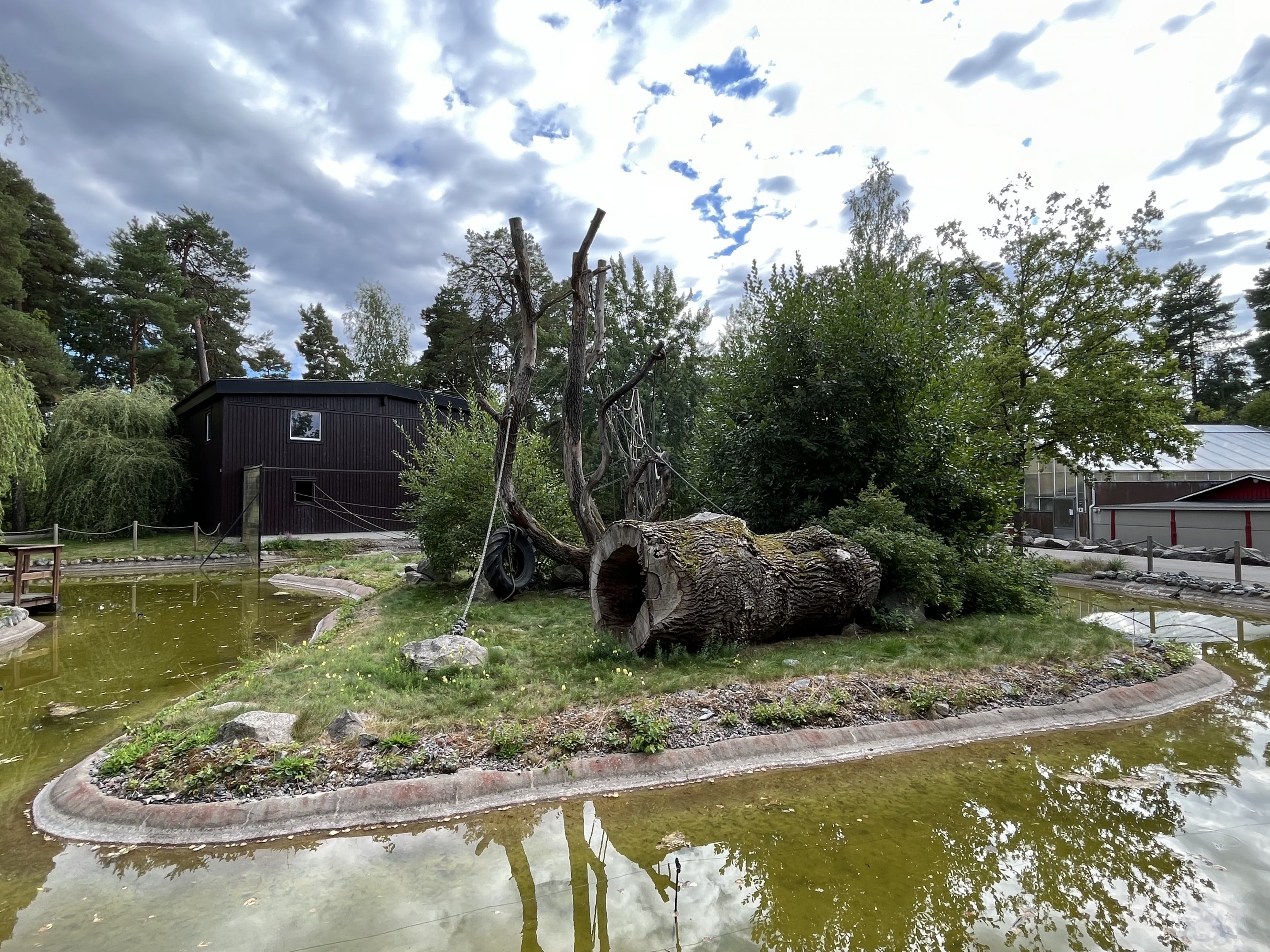 White-cheeked Gibbon Exhibit