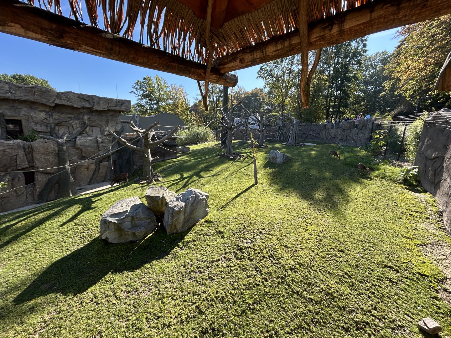 White-cheeked Gibbon & Hog Deer Exhibit
