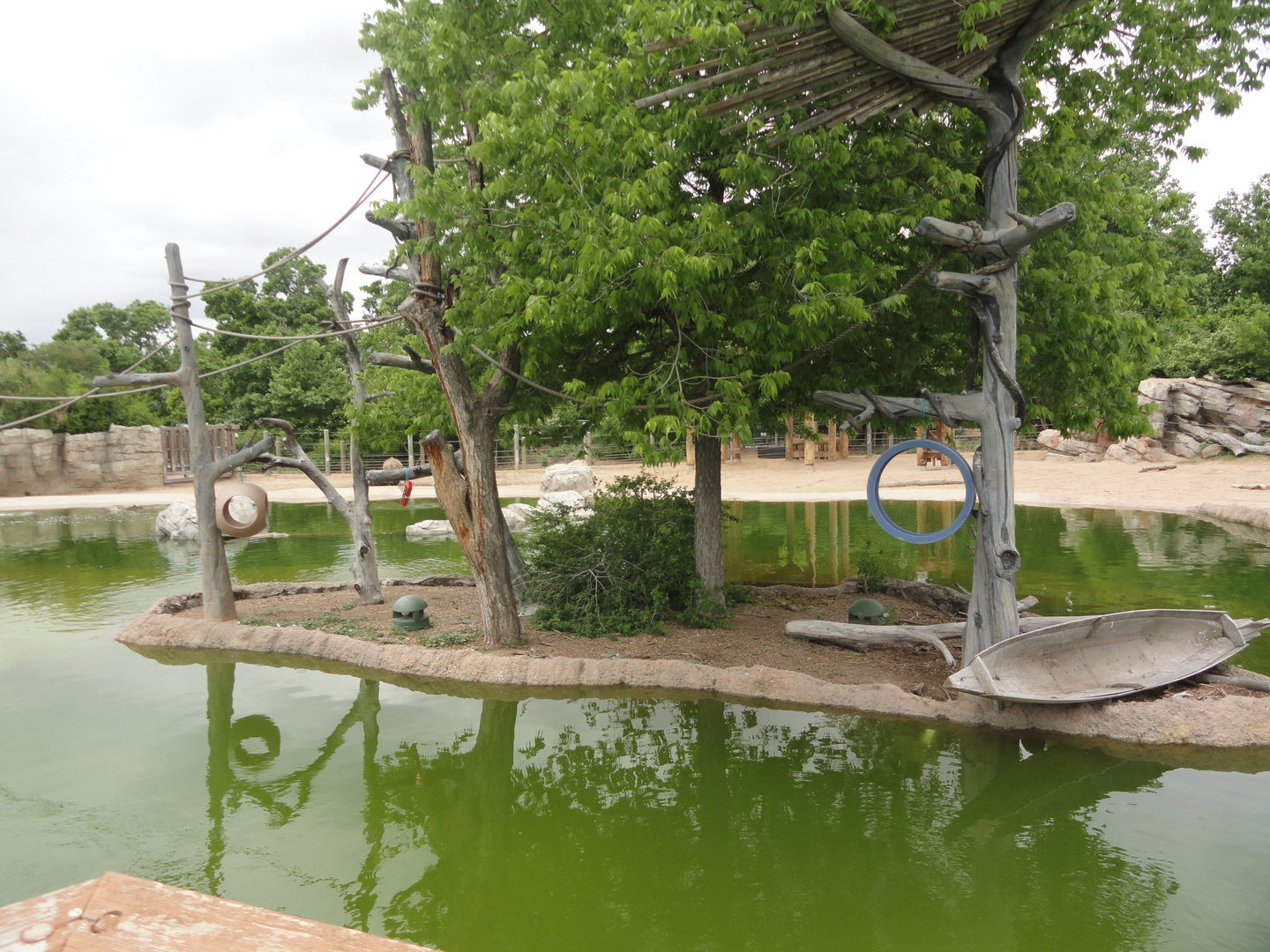 White-Cheeked Gibbon Island 3