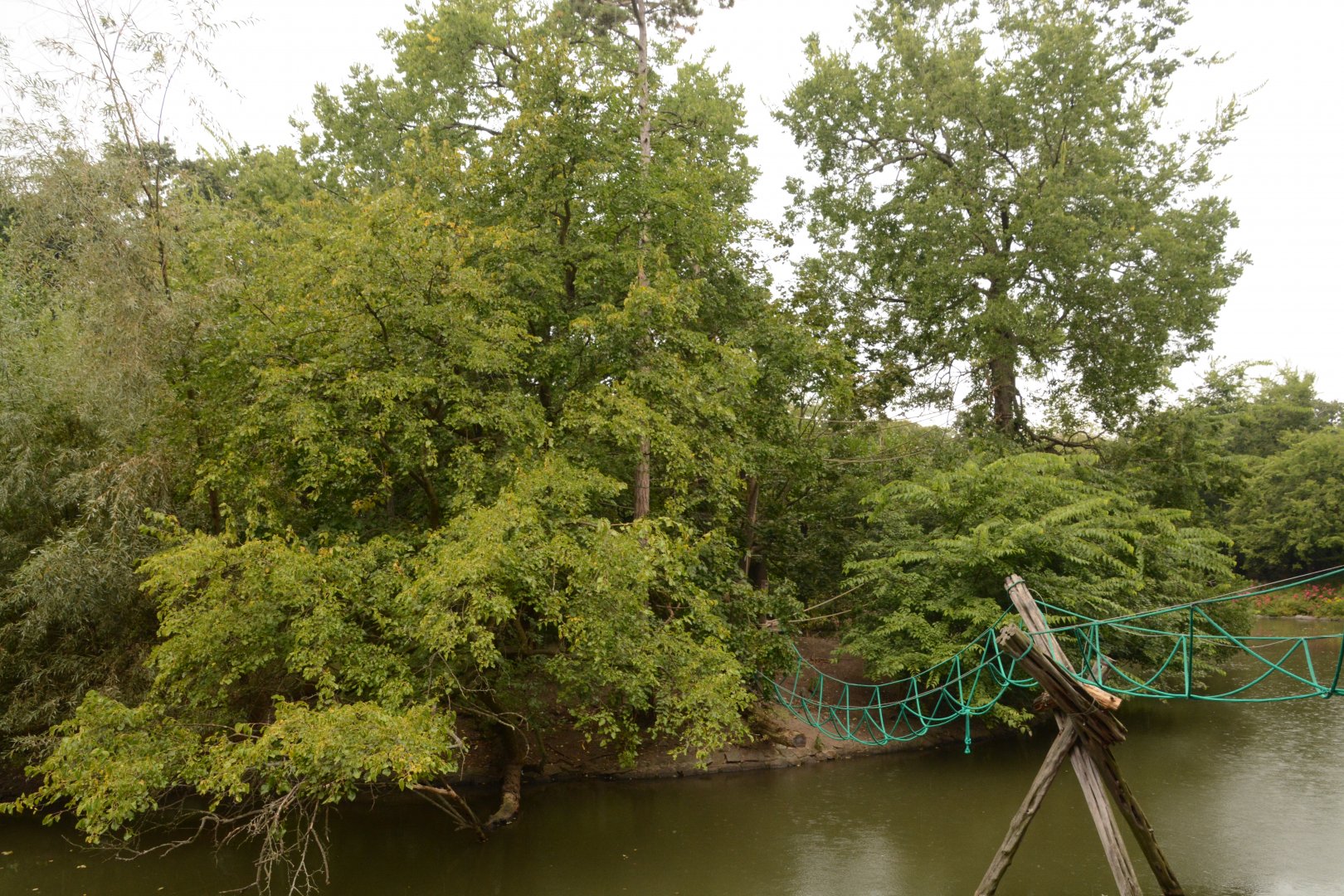 White-cheeked Gibbon island