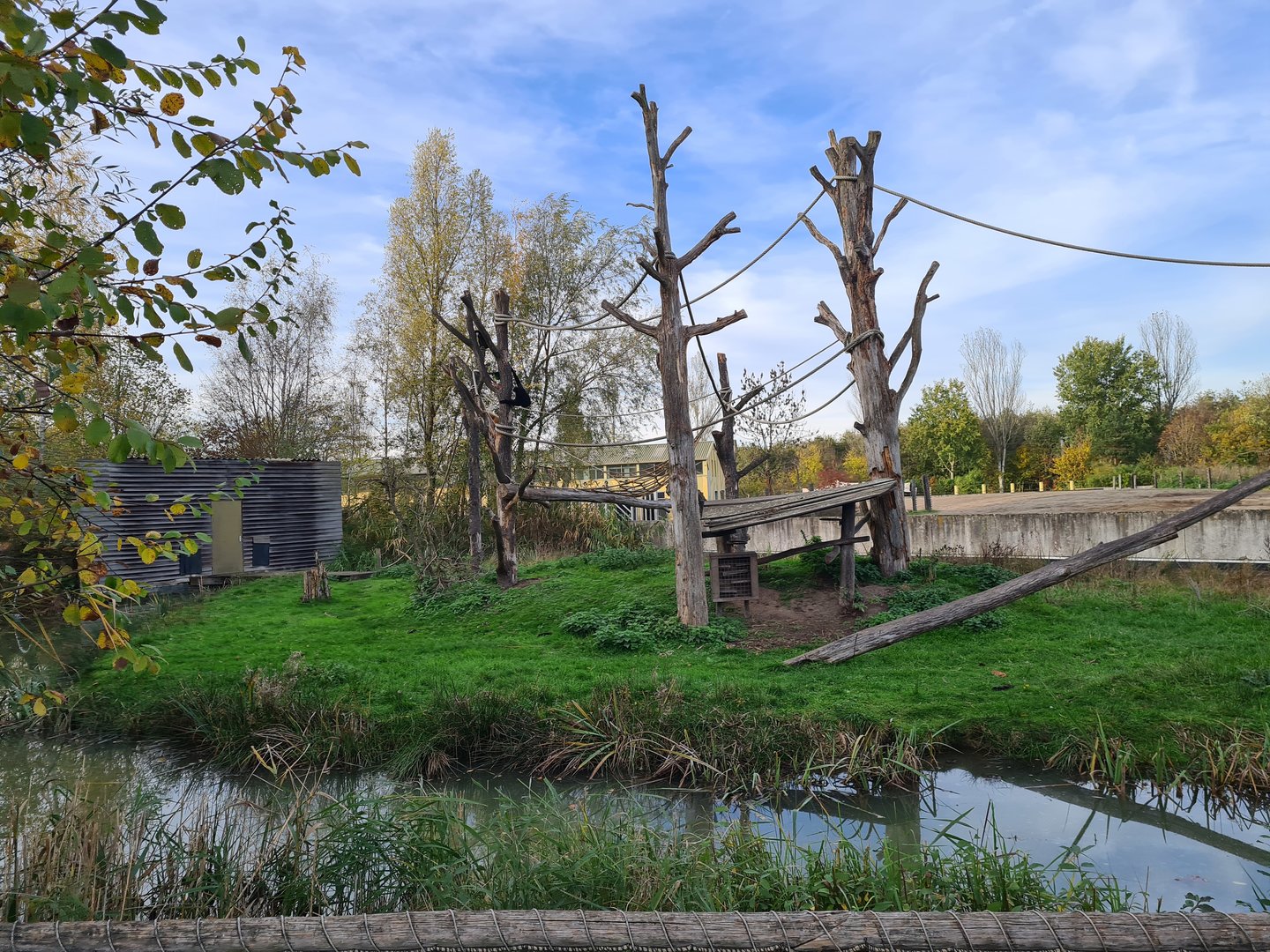 White-cheeked gibbon island