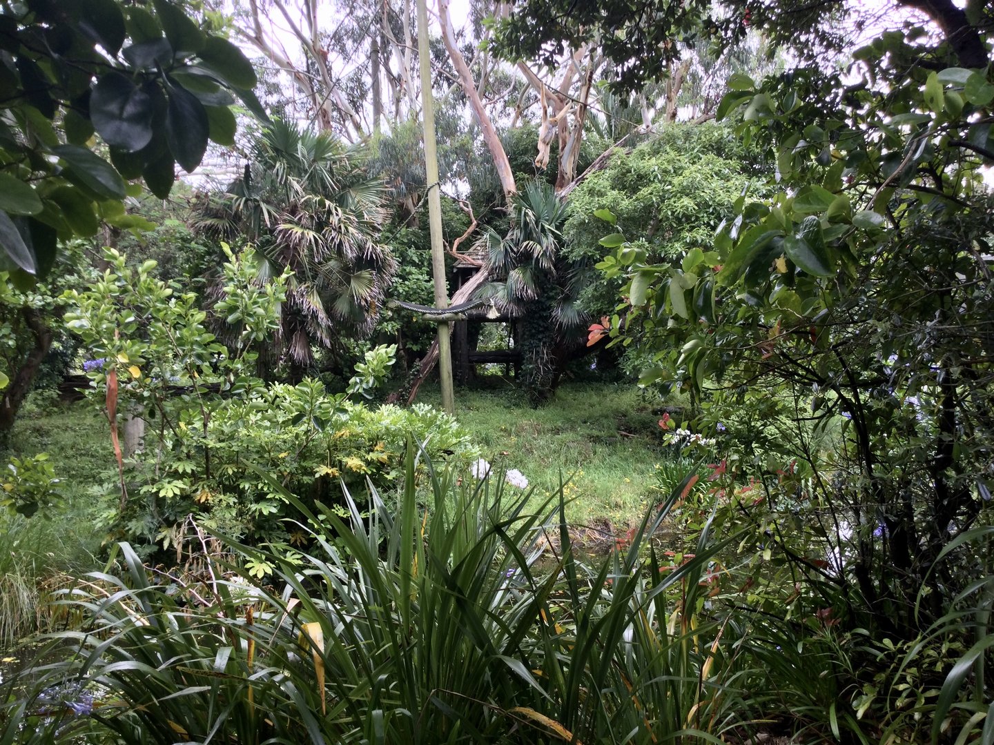 White-cheeked Gibbon Island