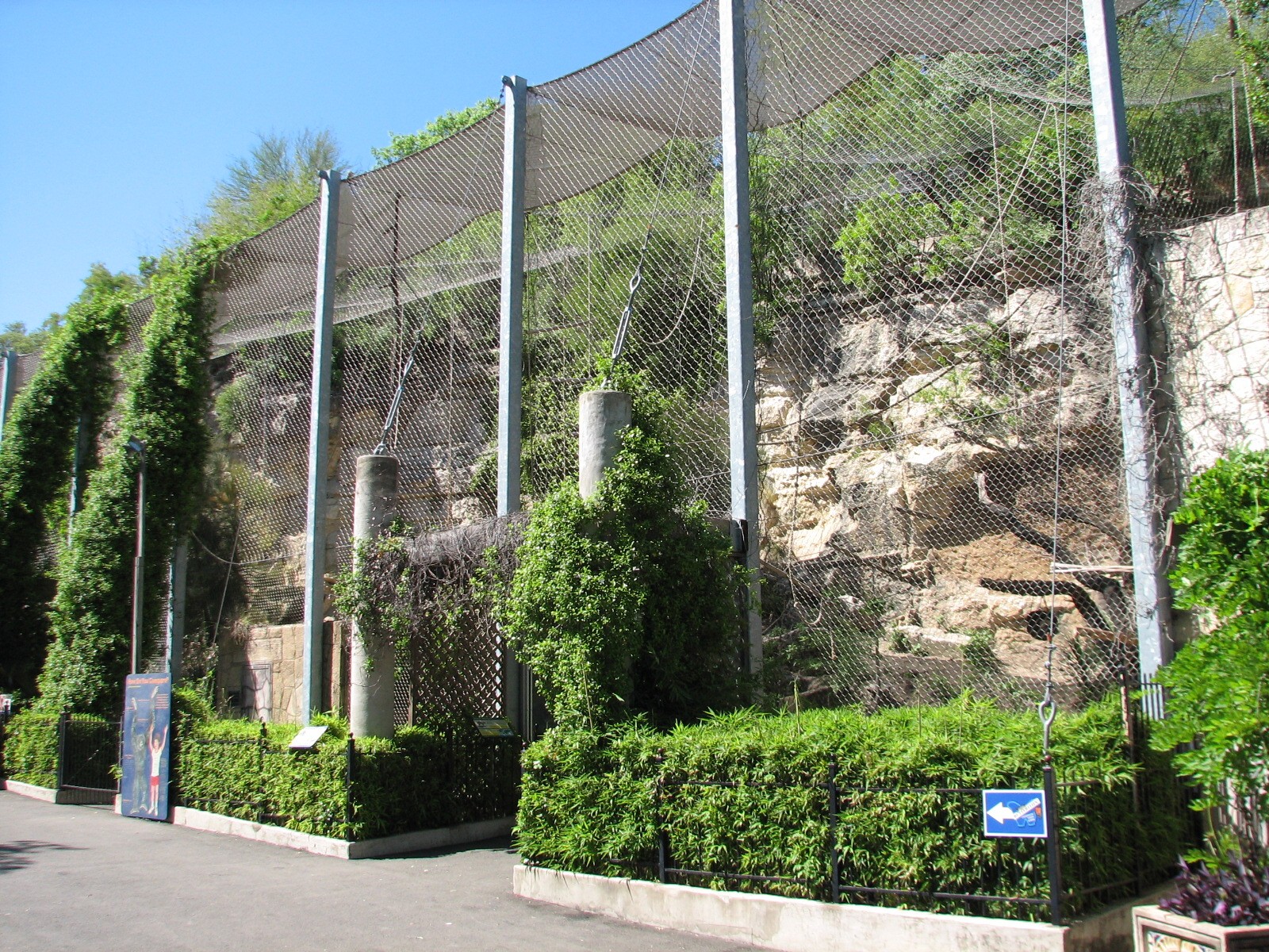 White-cheeked Gibbon, Reeves Muntjac, and Asian Small-clawed Otter Exhibit