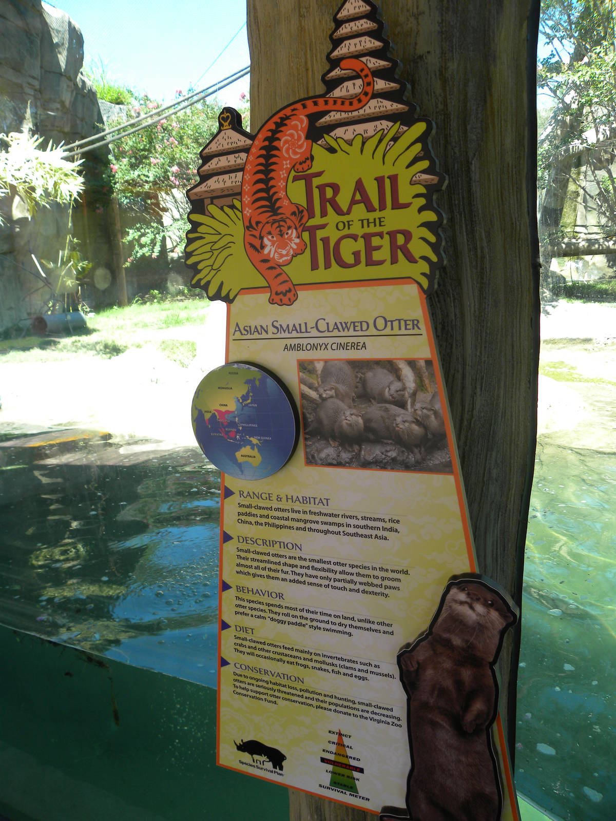 White-Cheeked Gibbon/Small-Clawed Otter Exhibit