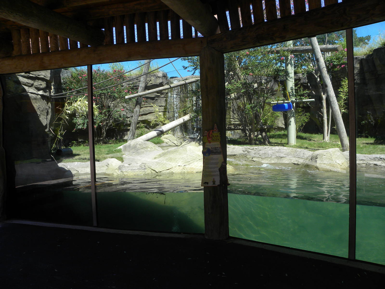White-Cheeked Gibbon/Small-Clawed Otter Exhibit