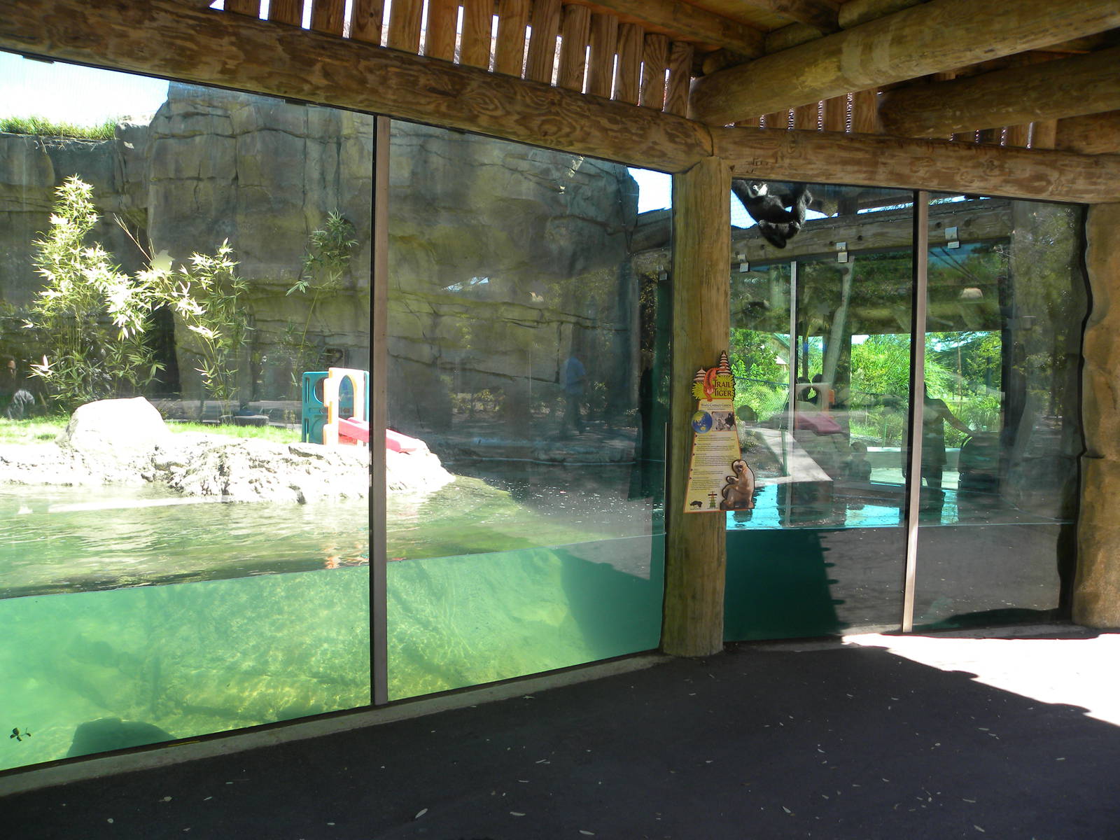 White-Cheeked Gibbon/Small-Clawed Otter Exhibit