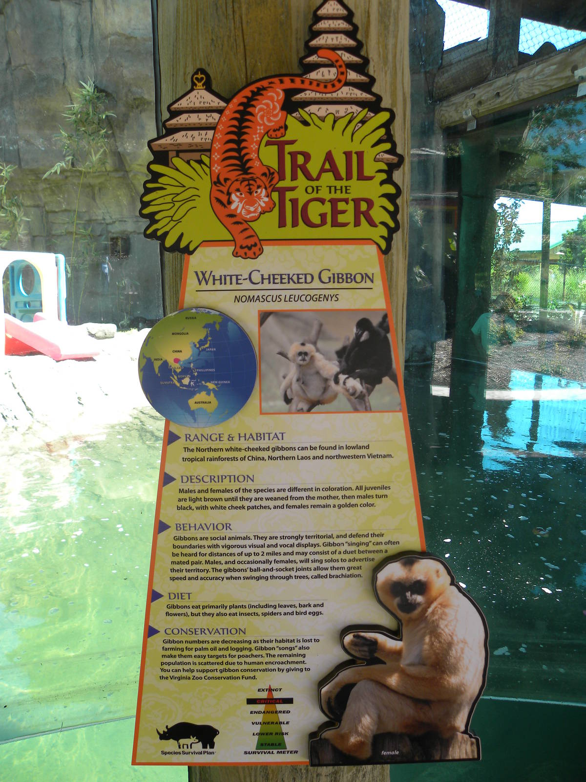 White-Cheeked Gibbon/Small-Clawed Otter Exhibit