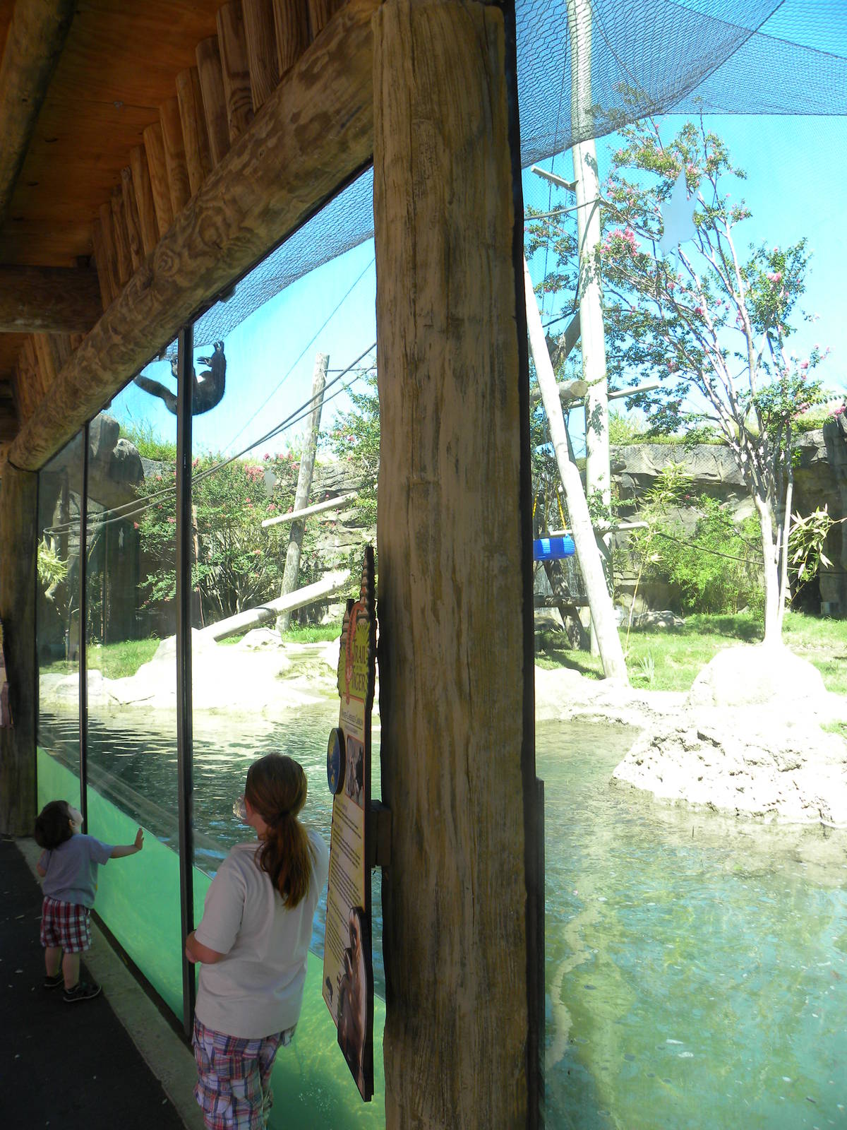 White-Cheeked Gibbon/Small-Clawed Otter Exhibit