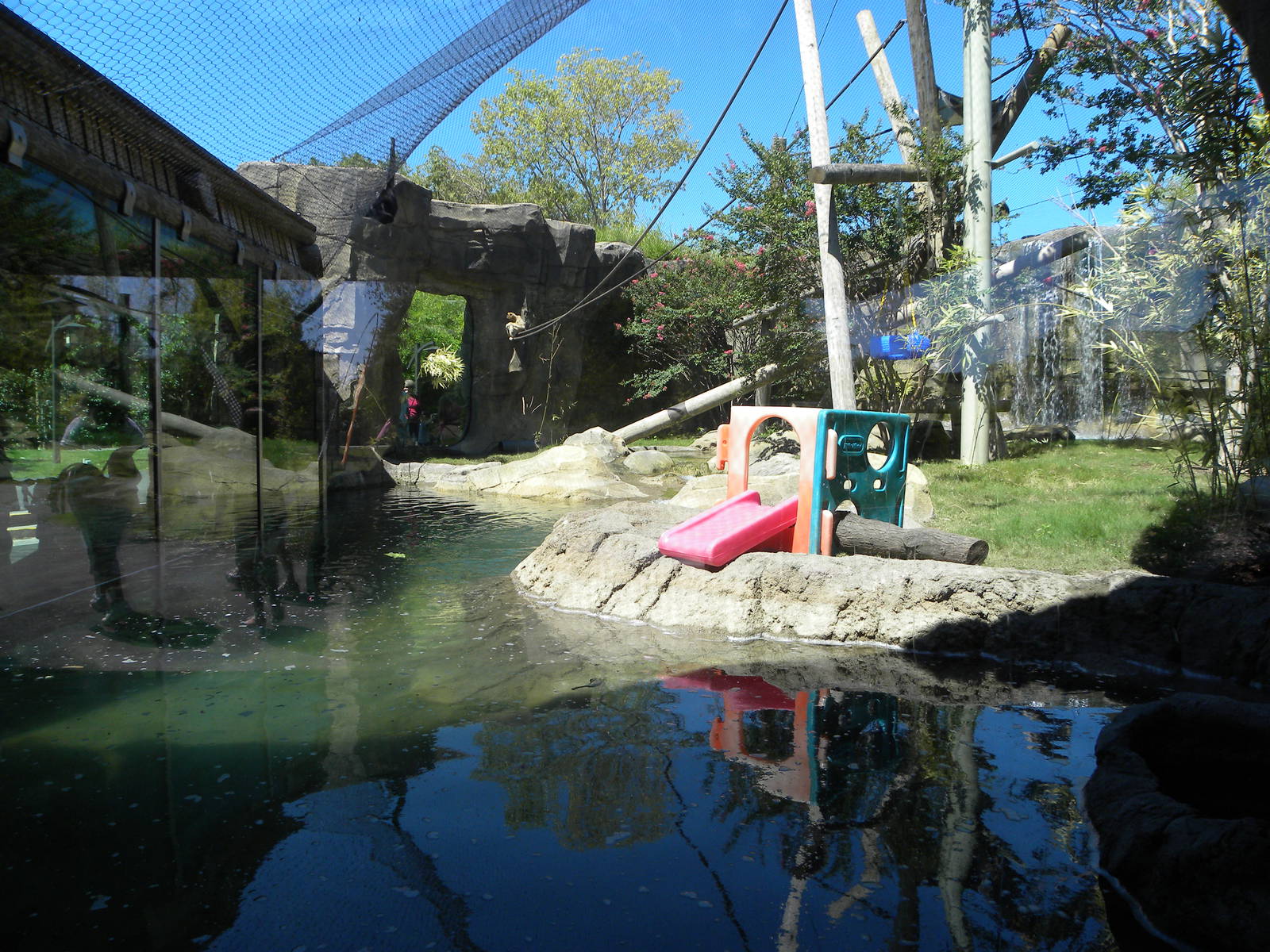 White-Cheeked Gibbon/Small-Clawed Otter Exhibit