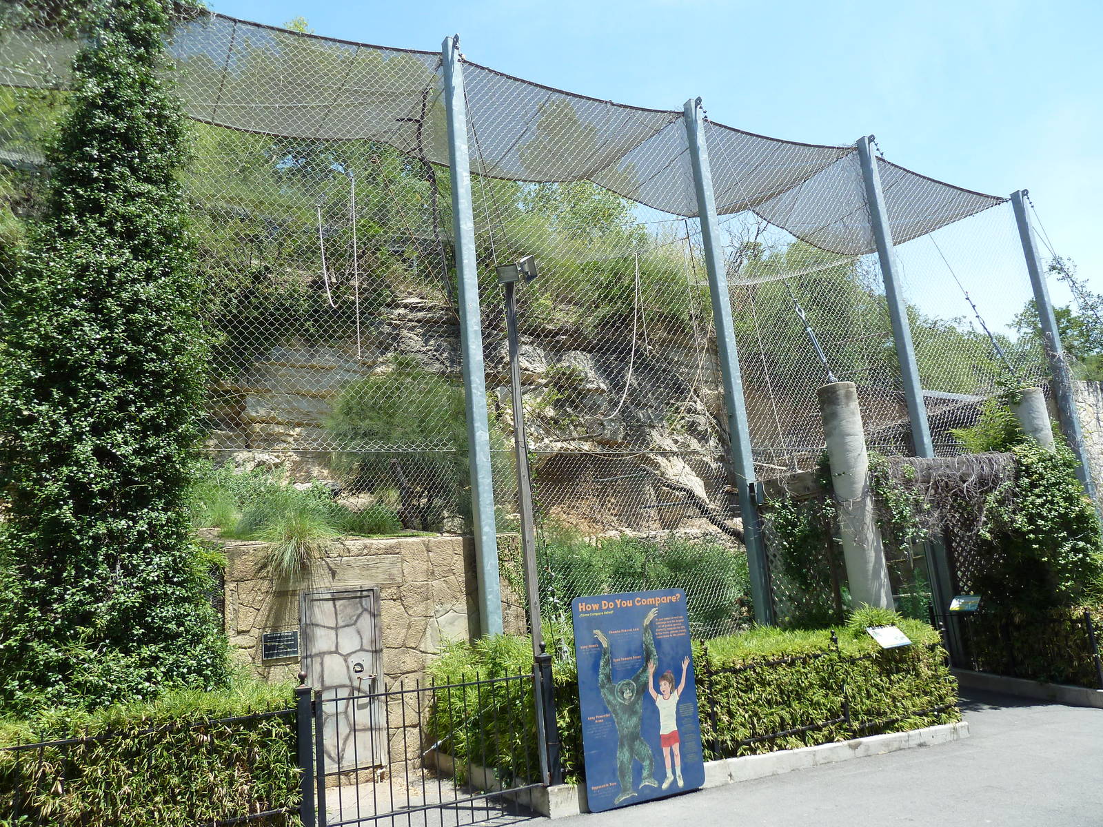 White-Cheeked Gibbon/Small-Clawed Otter/Reeves' Muntjac Exhibit