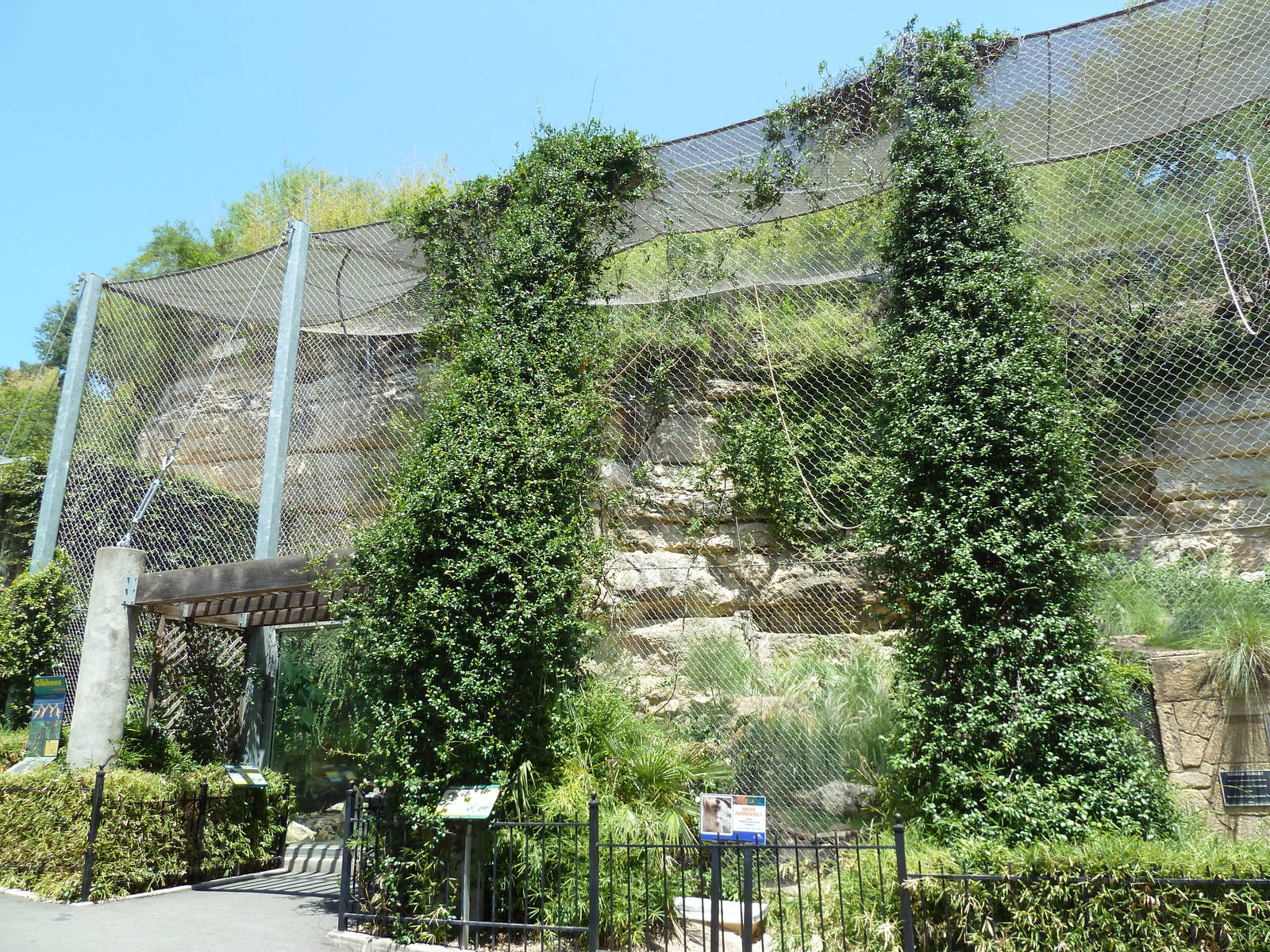 White-Cheeked Gibbon/Small-Clawed Otter/Reeves' Muntjac Exhibit