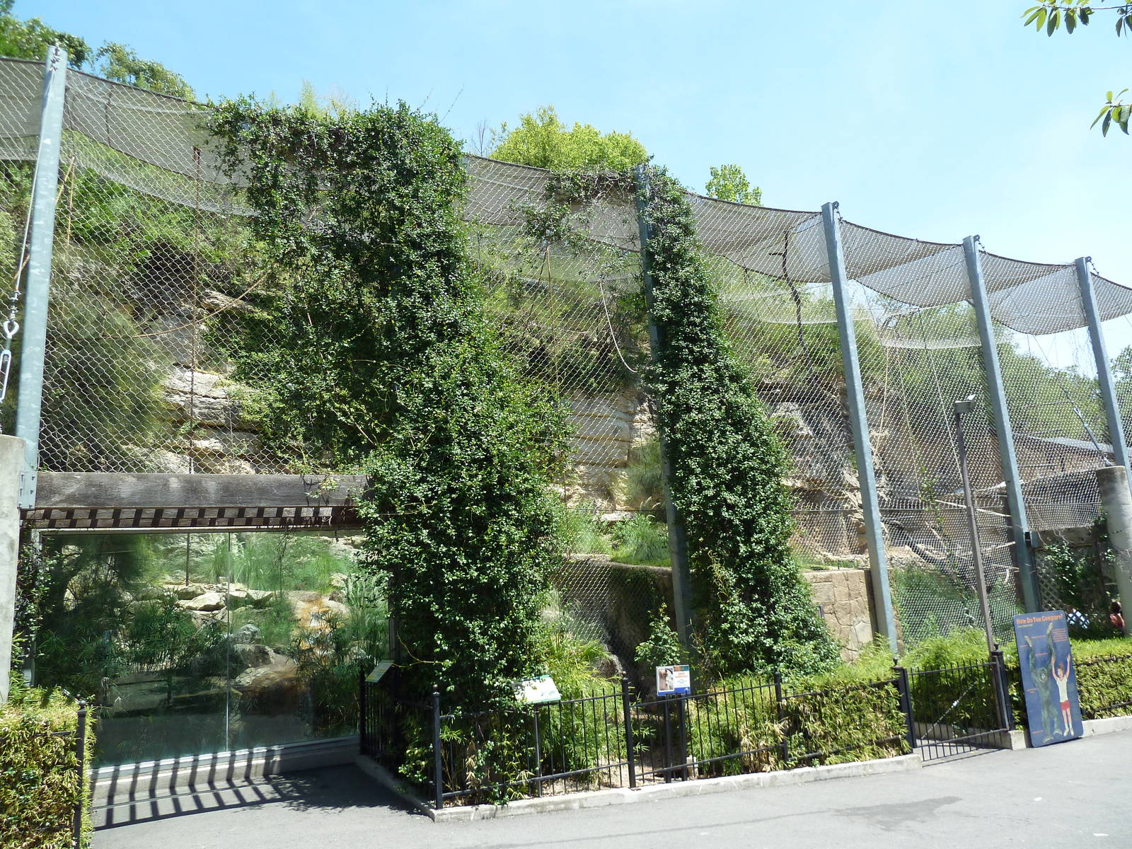 White-Cheeked Gibbon/Small-Clawed Otter/Reeves' Muntjac Exhibit
