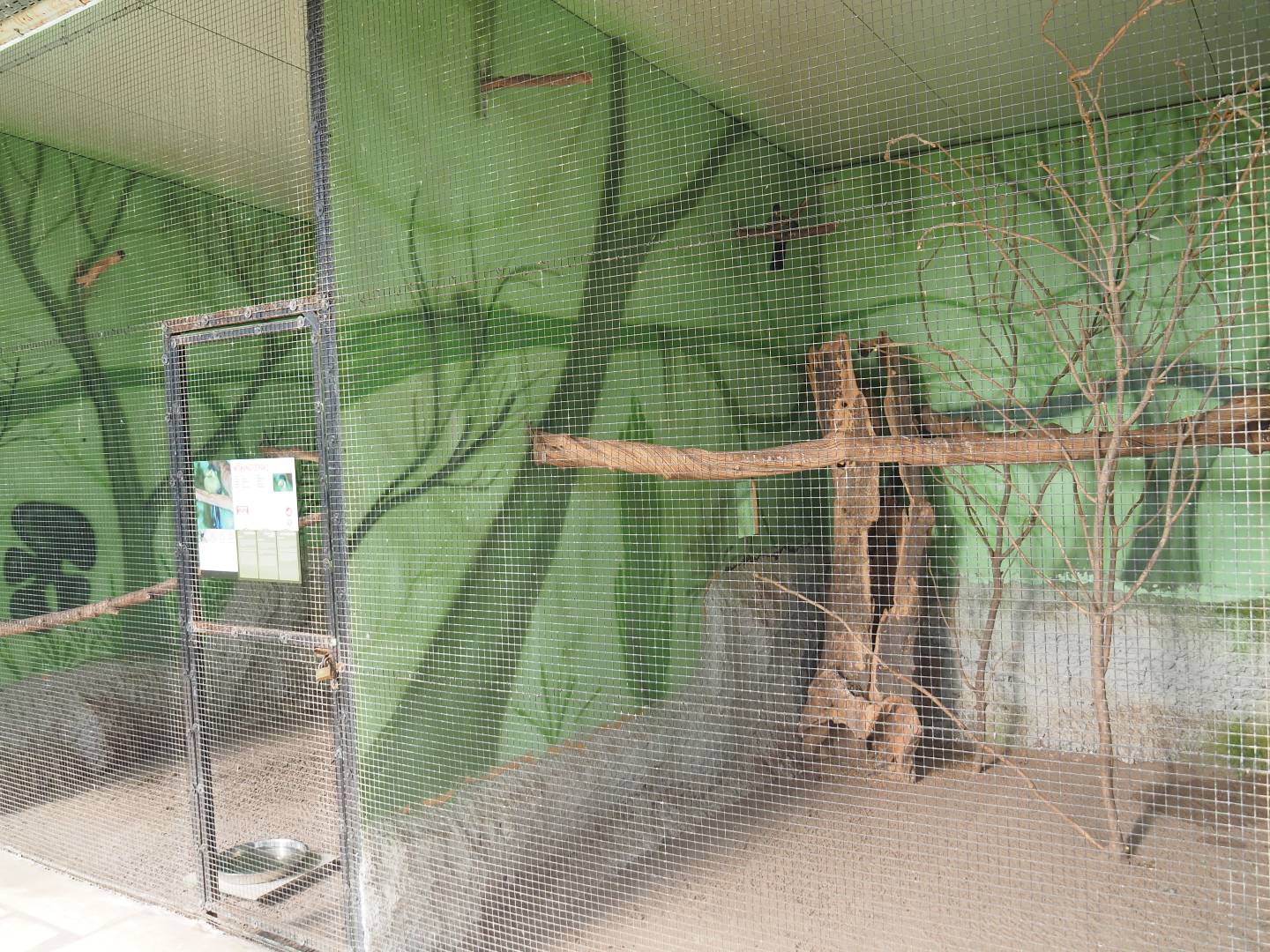 White-cheeked turaco aviary, 2019-08-04