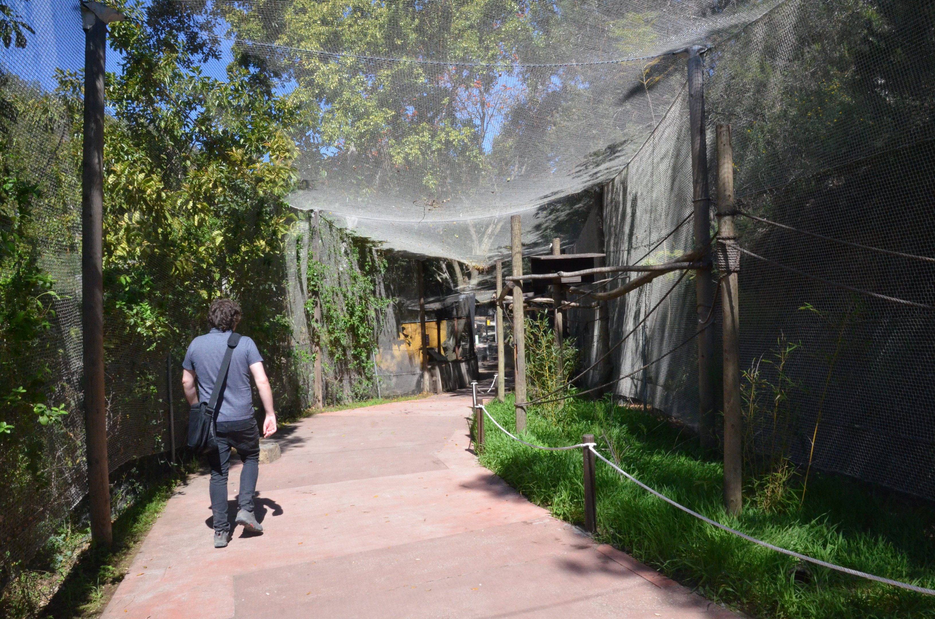 White-cheeked Turaco Aviary/Lemur Viewing at Selwo Aventura, 13/03/19