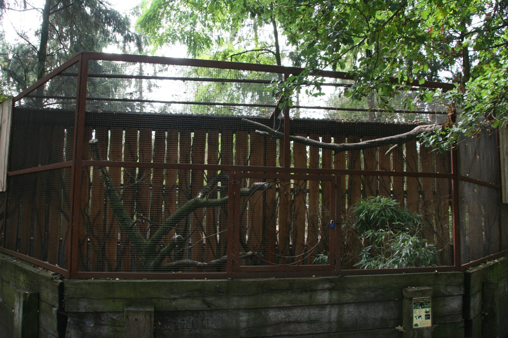 White-cheeked turaco aviary
