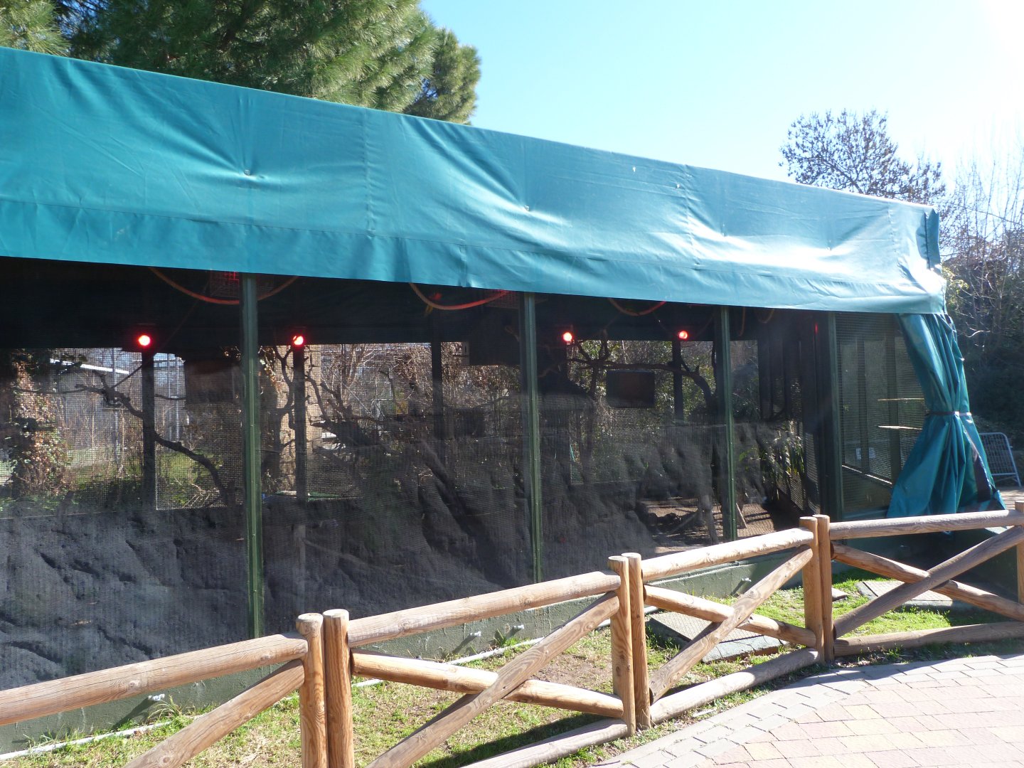 White-cheeked turaco, Rainbow lorikeet and Yellow-backed chattering lorikeet exhibit -Zoo Aquarium de Madrid (2025)