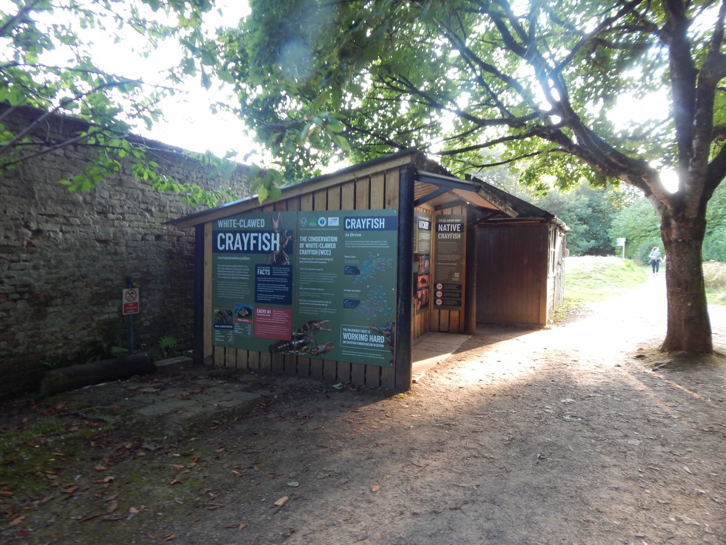 White-clawed crayfish exhibit 020825