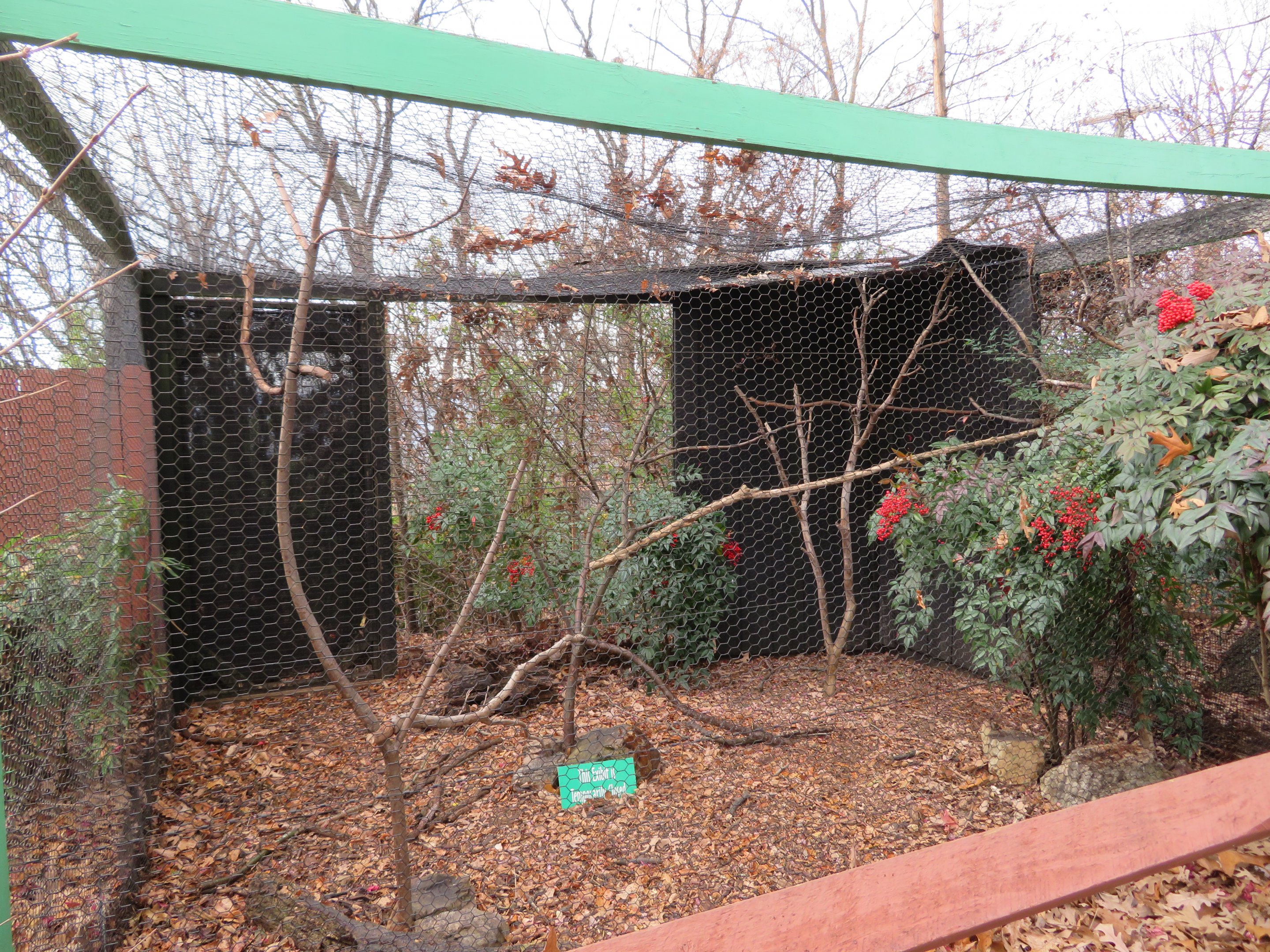 White-crested Laughingthrush Exhibit