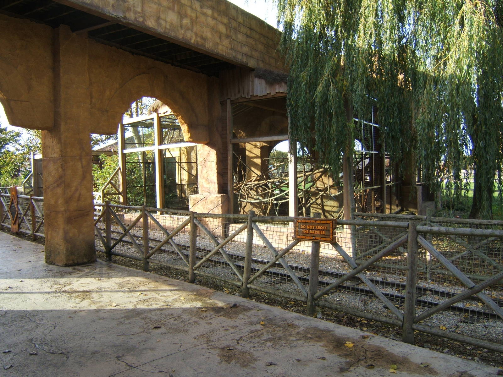 White-crowned Mangabey enclosure