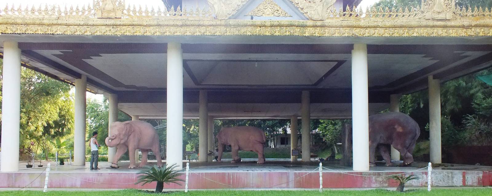 White Elephants - October 2012