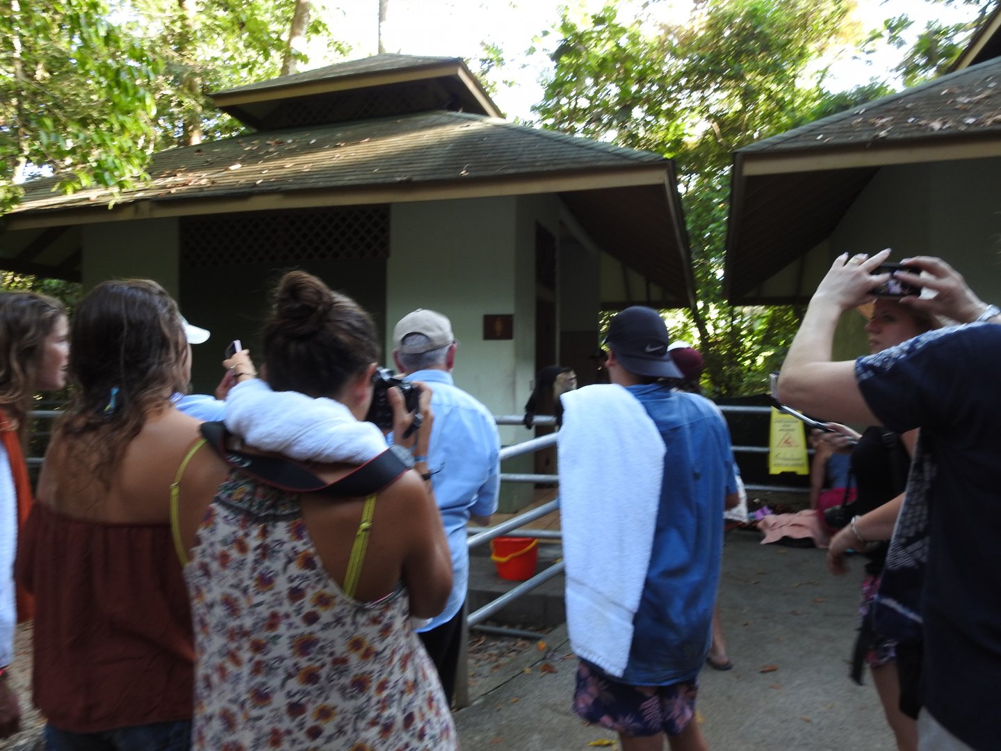 White Faced Capuchin and crowd