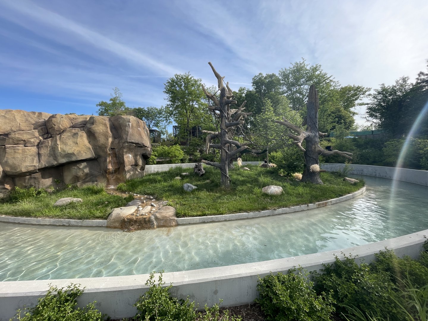 White-faced capuchin exhibit