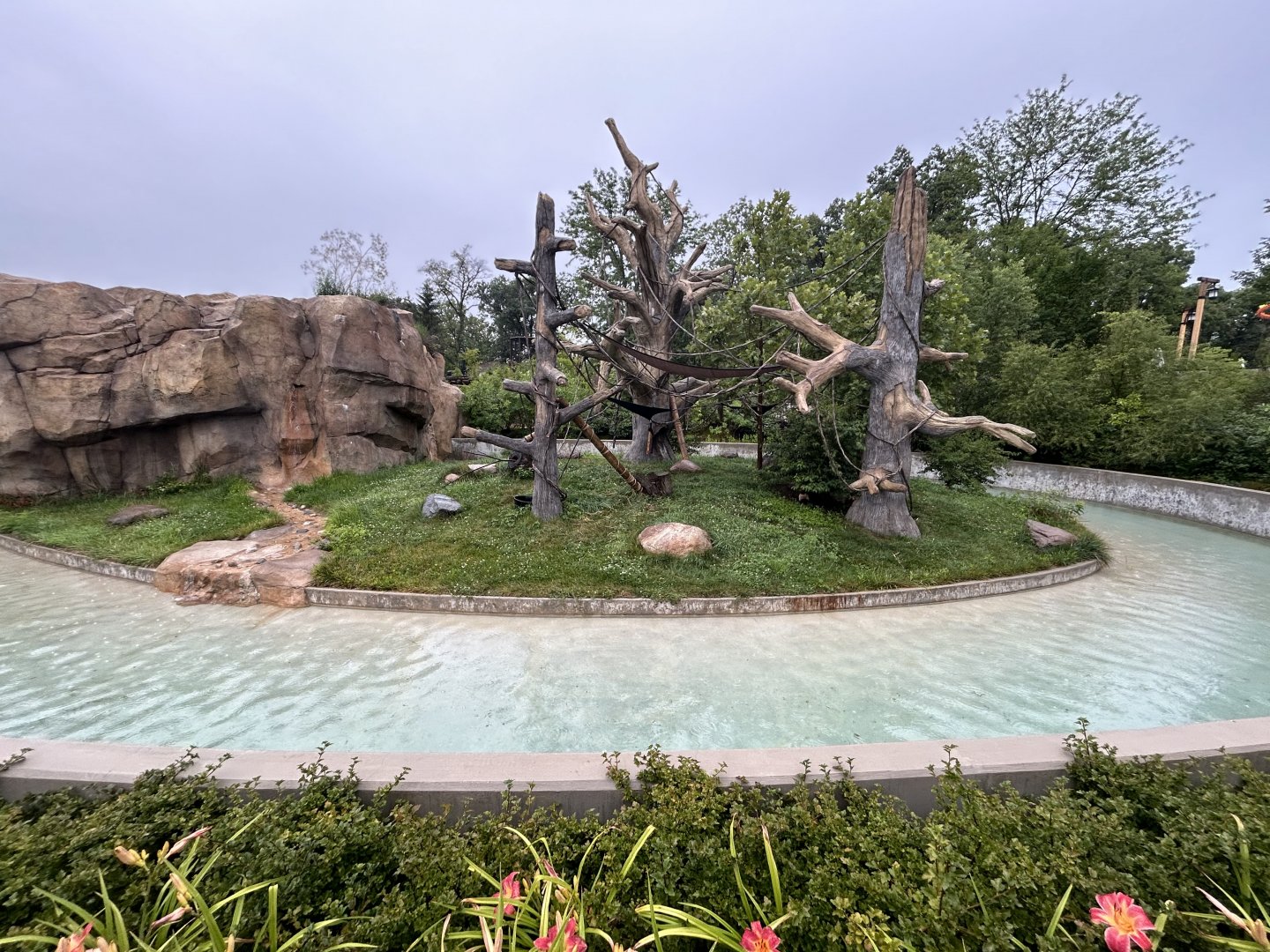 White-faced Capuchin Exhibit
