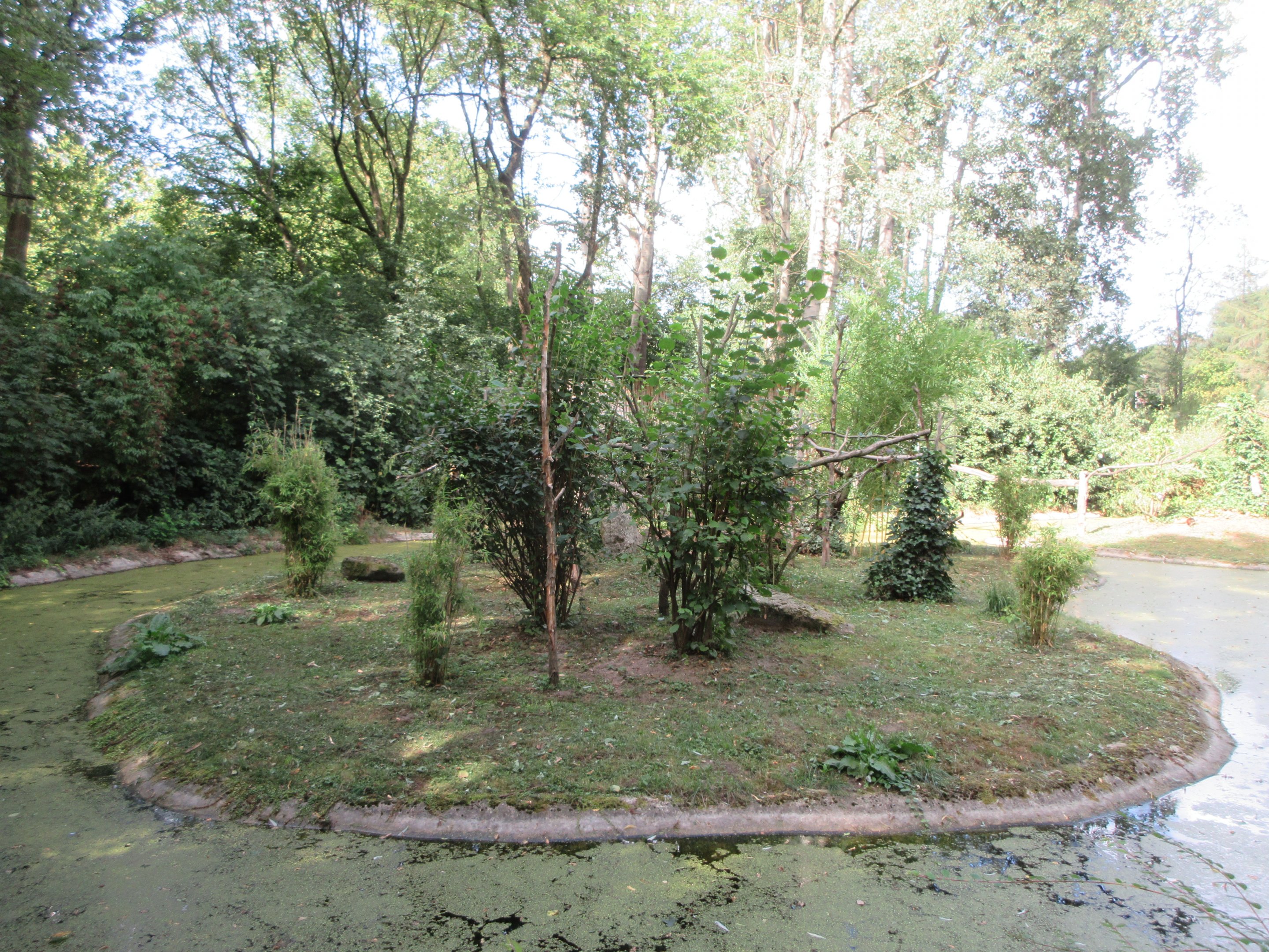 White-faced Marmoset Exhibit