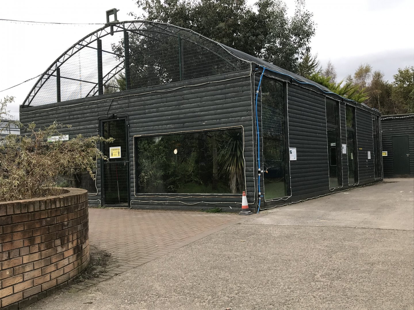 White faced saki and emperor tamarin enclosure