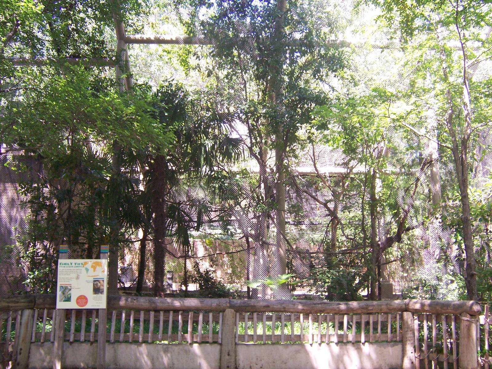 White Faced Saki and Grey Titi Monkey exhibit