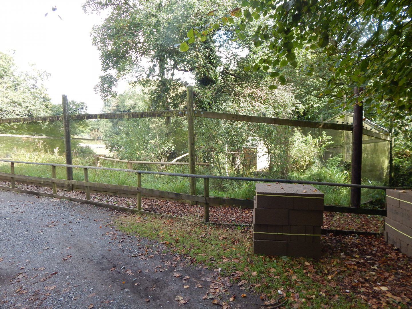 White-faced saki/Azara's agouti enclosure 050825