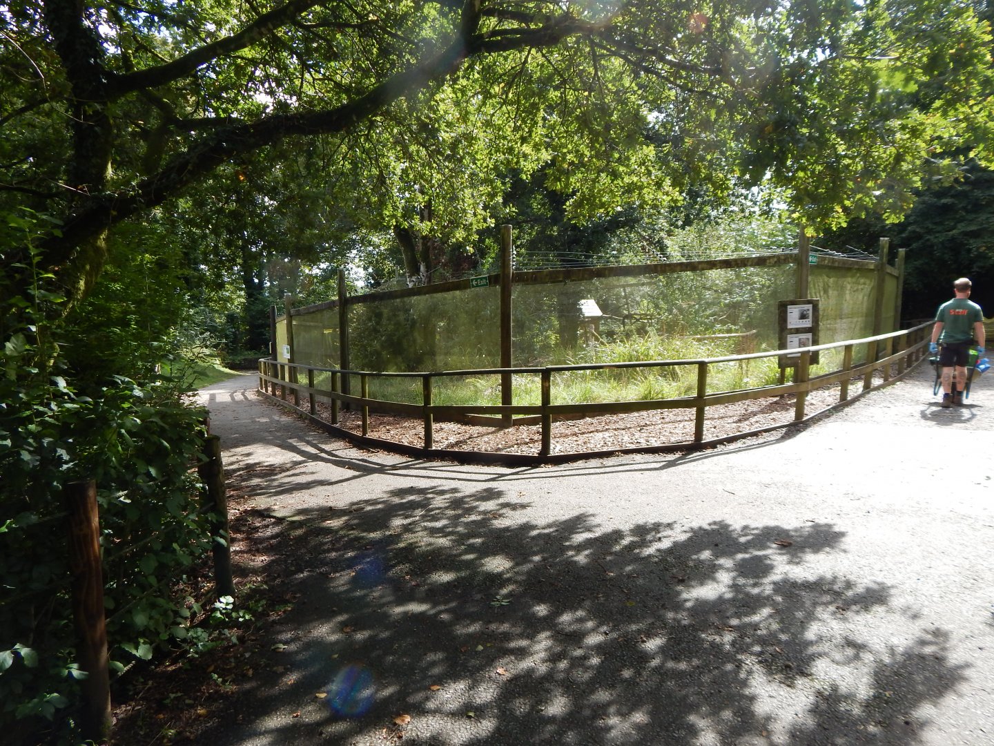 White-faced saki/Azara's agouti enclosure 050925