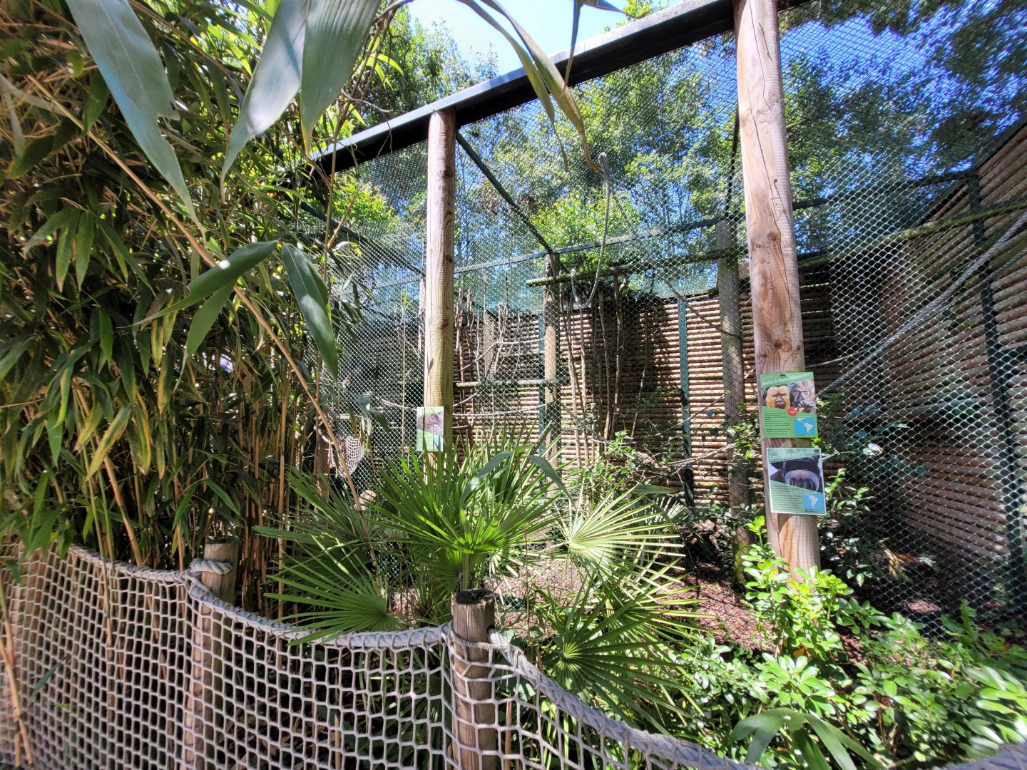 White-faced saki, Bearded emperor tamarin and St.Vincent agouti exhibit -Zoo d'Asson (2022)