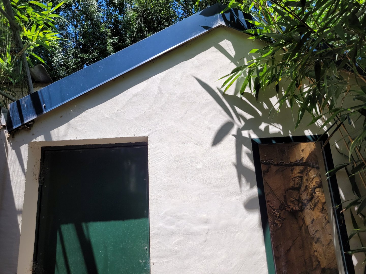 White-faced saki, Bearded emperor tamarin and St.Vincent agouti exhibit -Zoo d'Asson (2022)