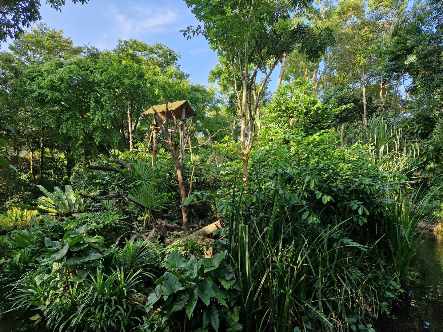 White-faced Saki / Black and Gold Howler Monkey exhibit