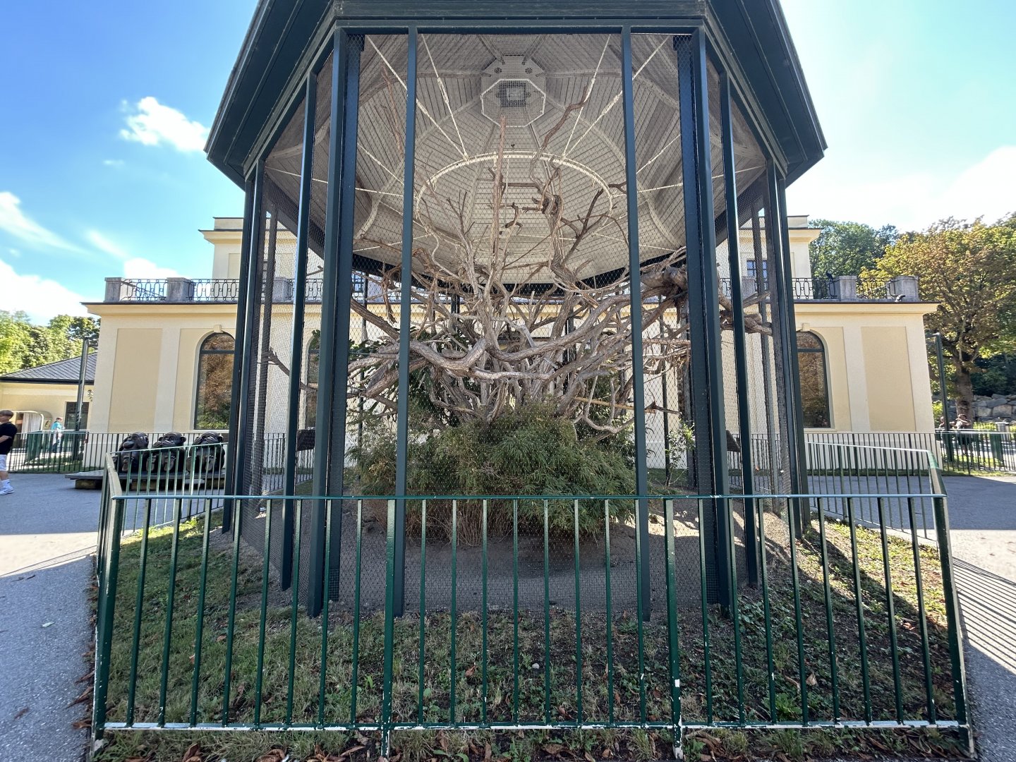 White-faced Saki & Callimico Exhibit - Monkey House