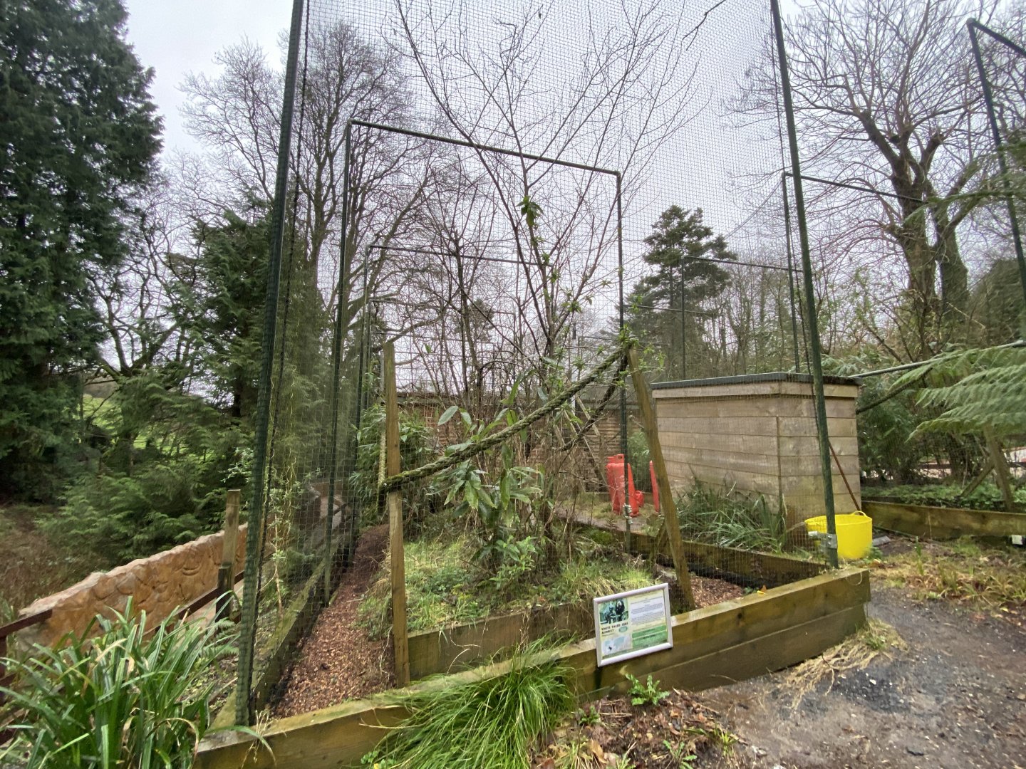 White-faced saki enclosure 170224