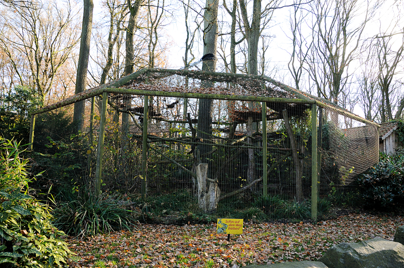 White-faced saki enclosure at Dortmund