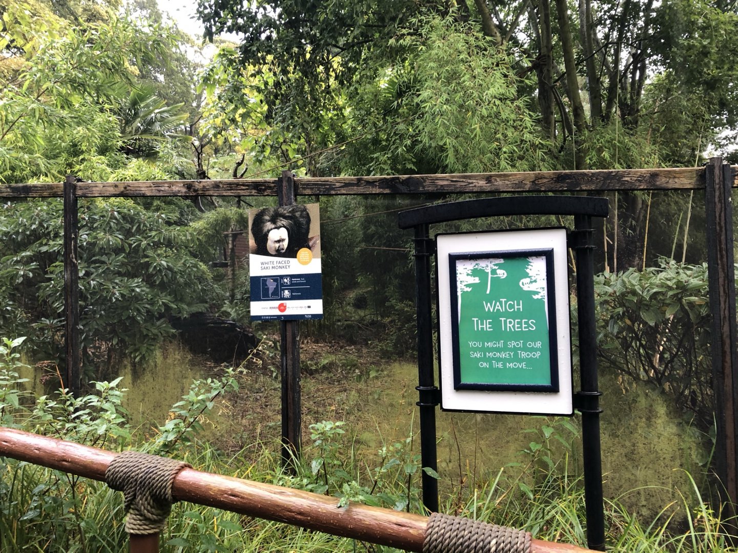 White-faced Saki Enclosure at Edinburgh Zoo (2020)