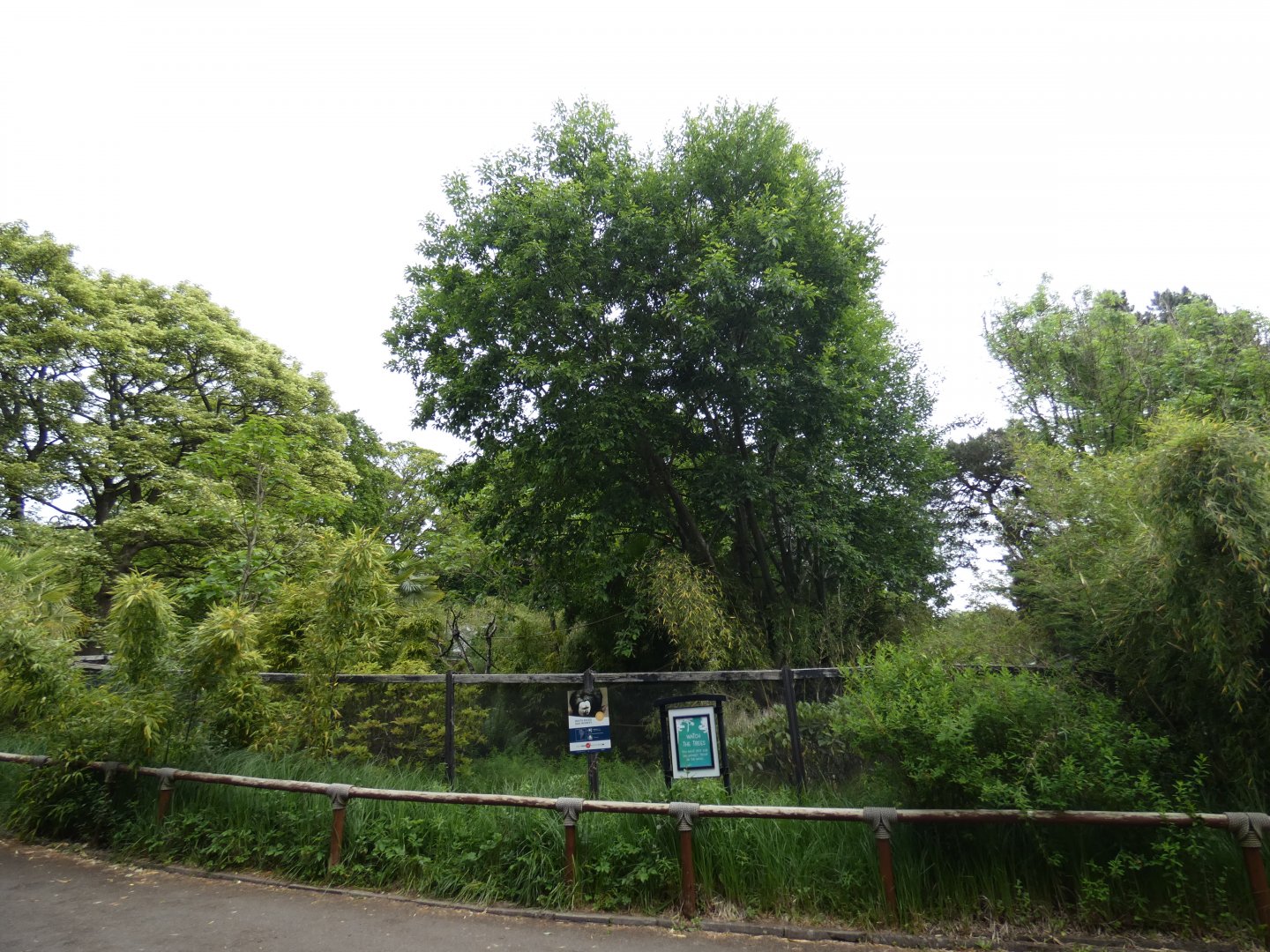 White-faced saki enclosure