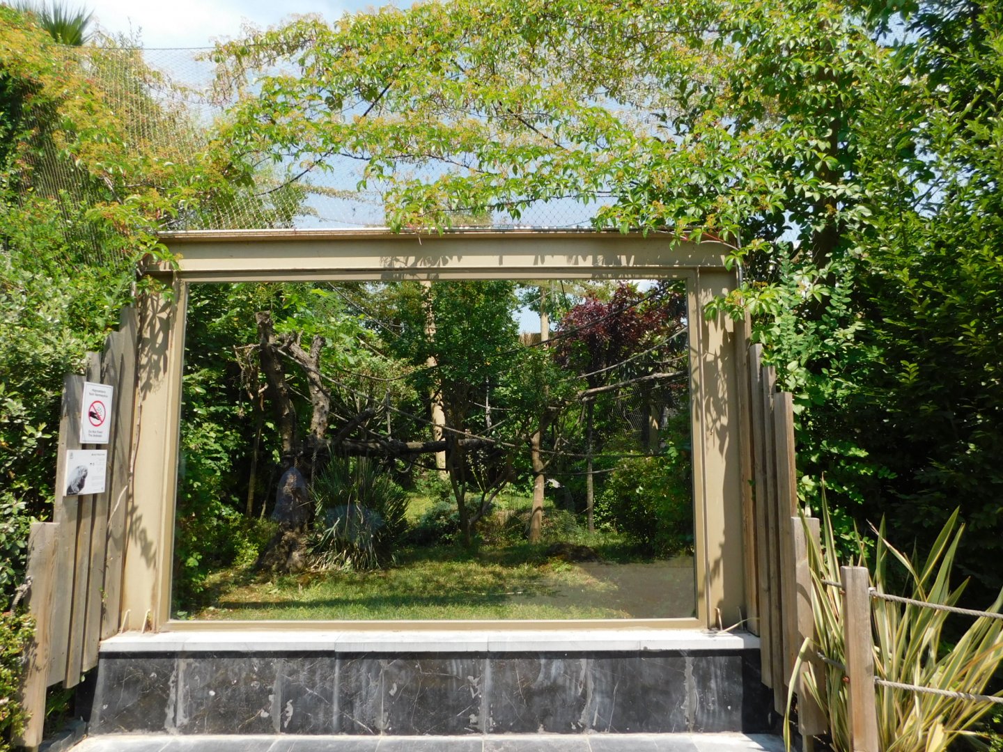 white-faced saki enclosure