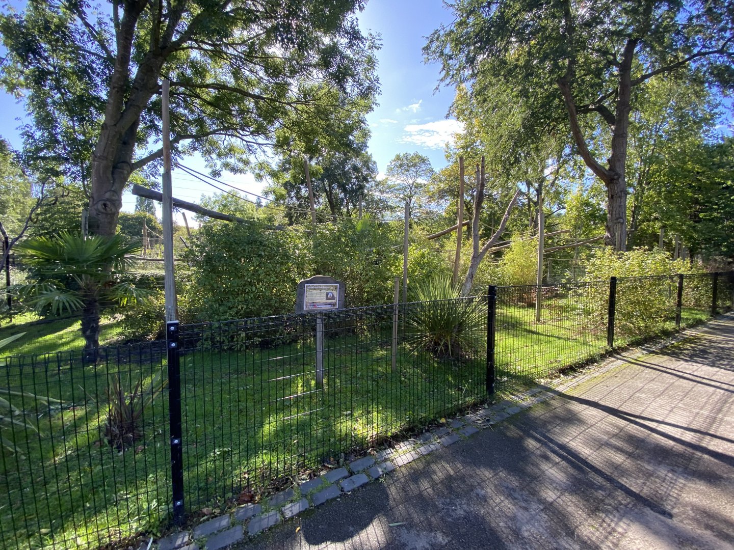 White faced saki enclosure