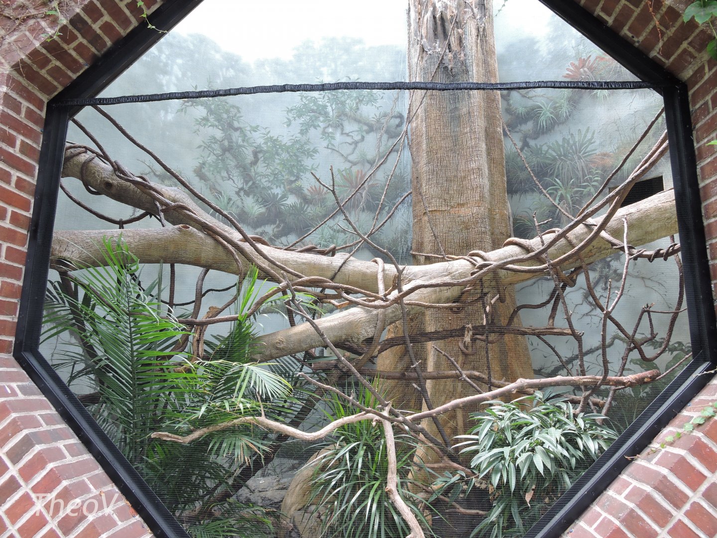 White-faced saki exhibit [2015]