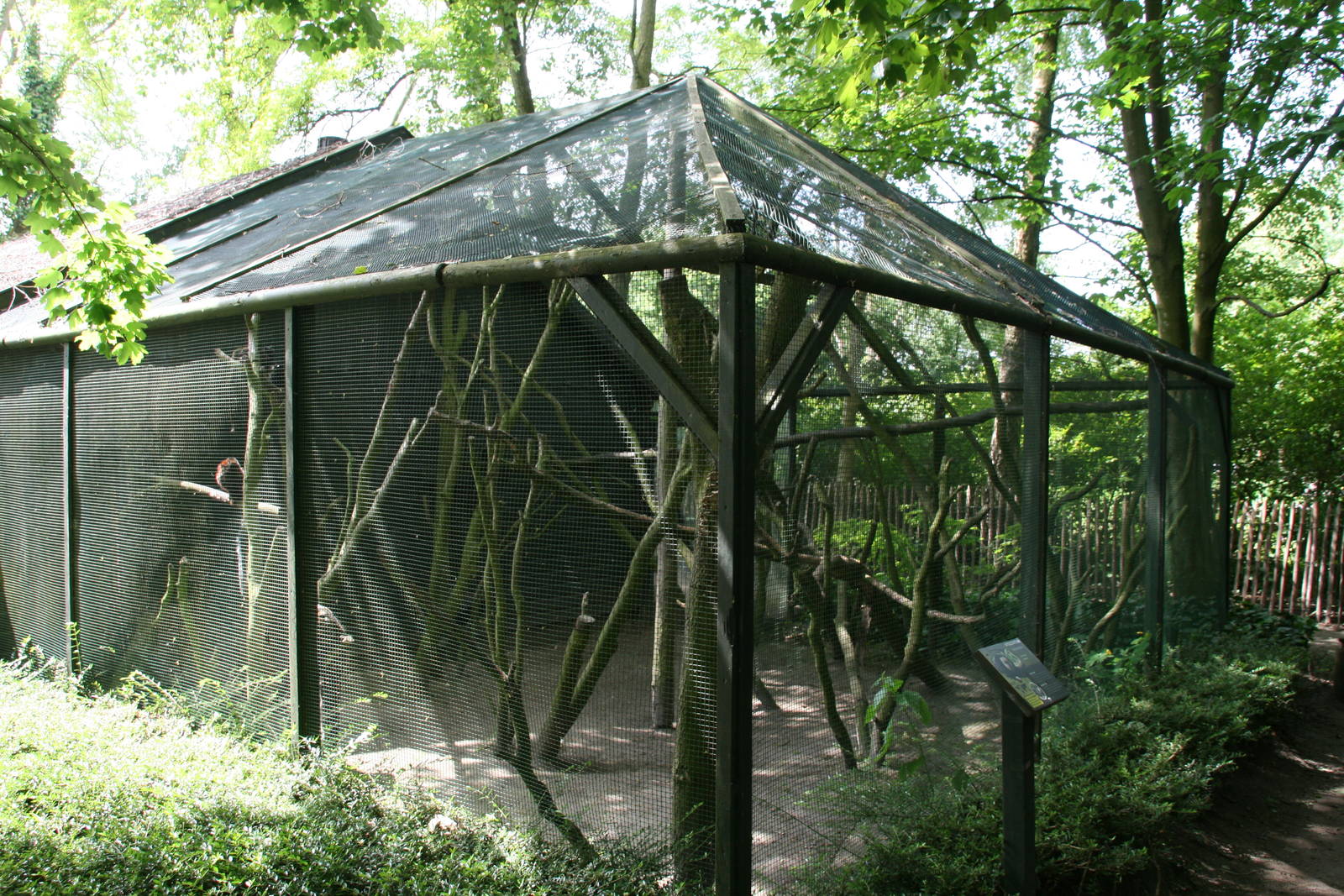 White-faced saki exhibit