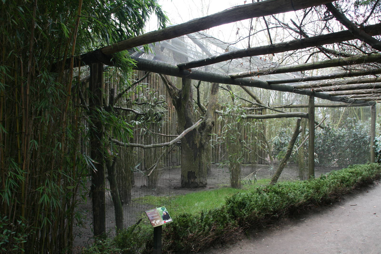 White-faced saki exhibit