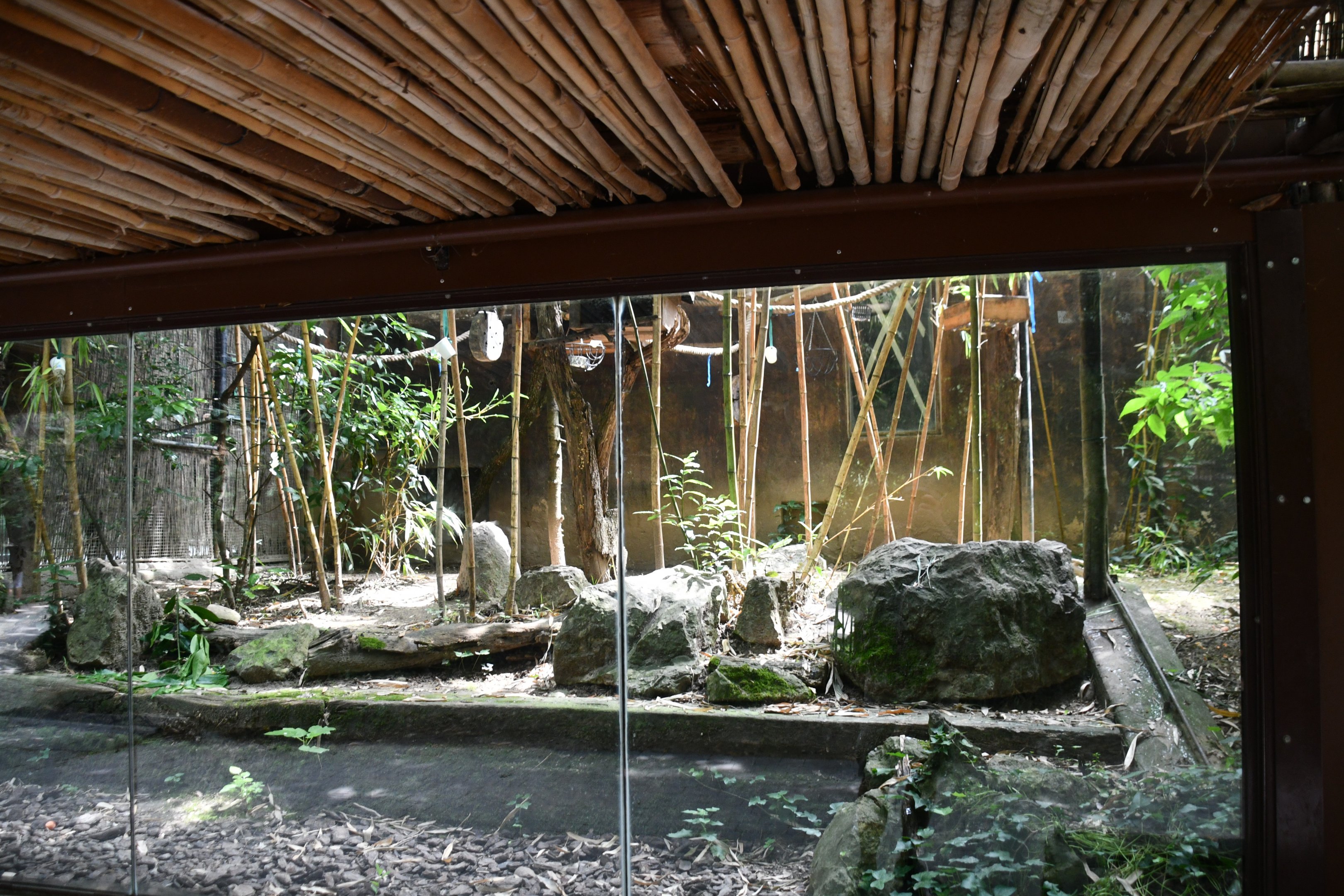 White-faced Saki/Geoffroy's Marmoset/Orange-handed Tamarin exhibit