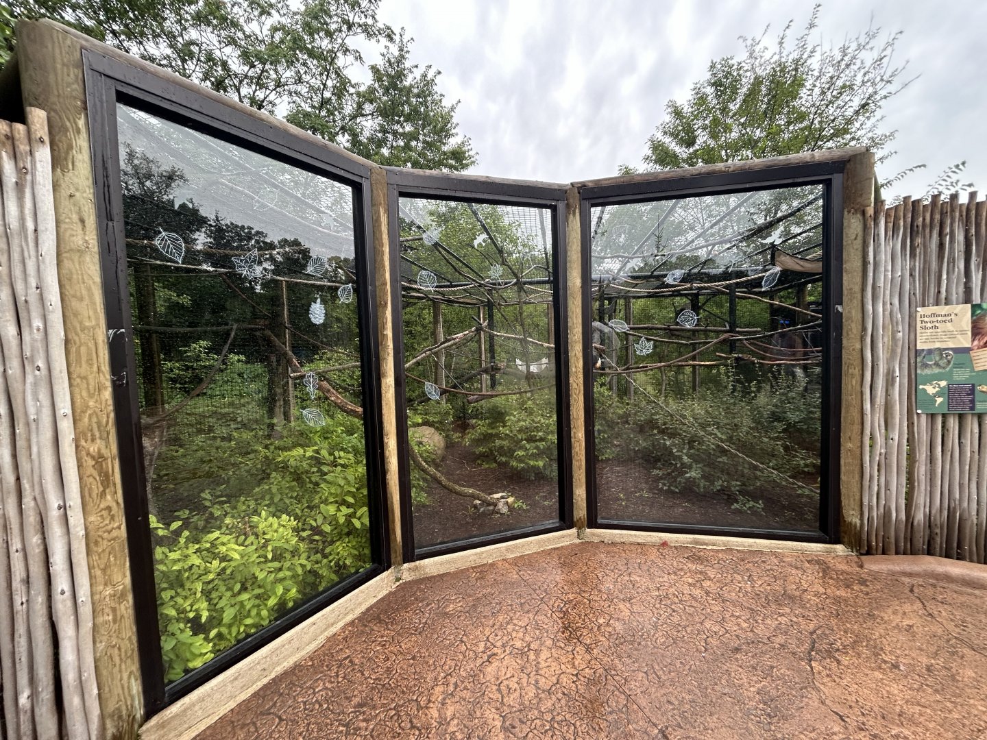 White-faced Saki & Hoffman's Two-toed Sloth Exhibit
