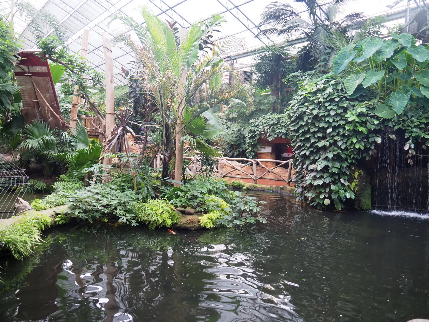 White-faced saki island and lower visitor area, 2022-09-14