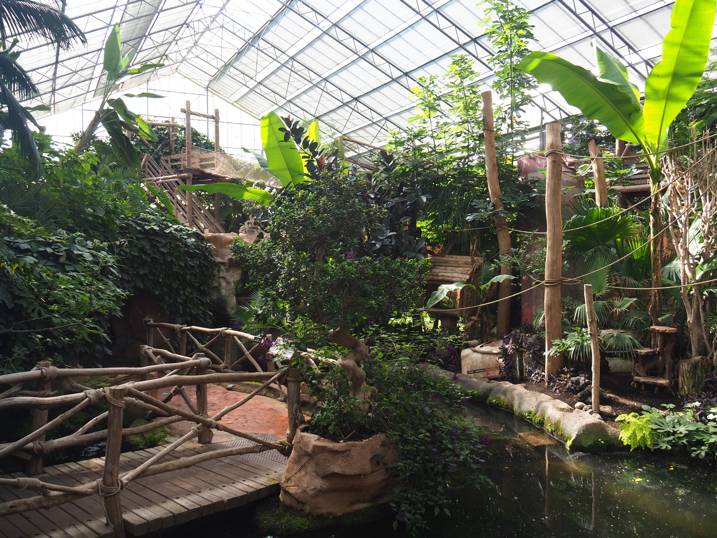 White-faced saki island and lower visitor area in the Oasis, 2021-09-03
