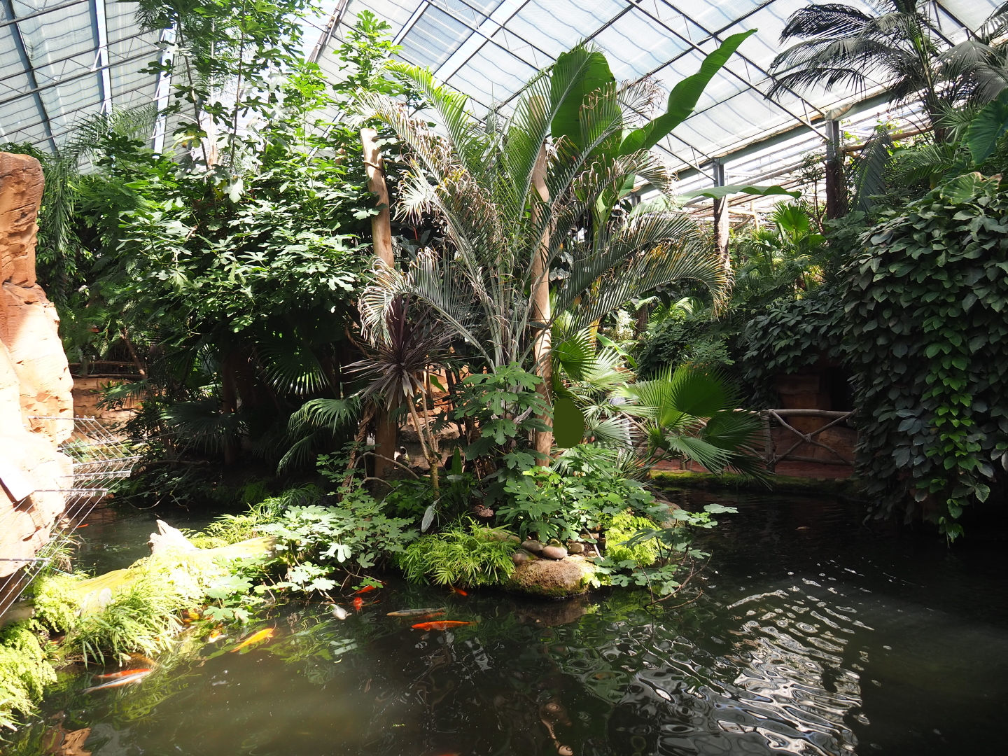 White-faced saki island in the Oasis, 2021-09-03